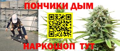 сатива Краснокаменск