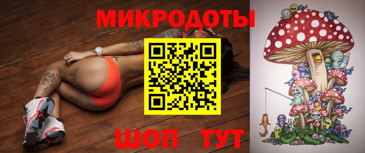 Псилоцибиновые грибы Psilocybe  Галлюциногенные грибы GOLDEN TEACHER  Касимов  Вход с VPN 