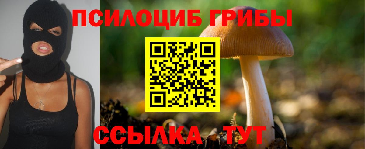 Псилоцибиновые грибы ЛСД Касимов